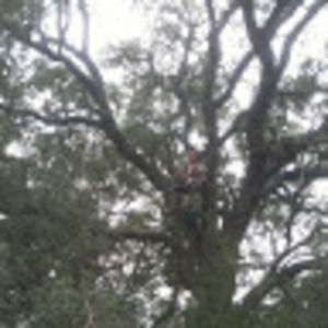 Meet your Posher, Sergio